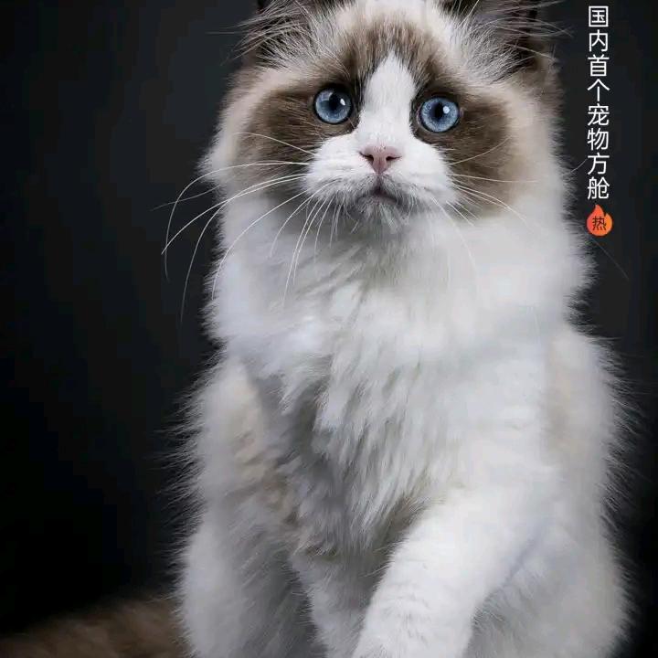 情绵存