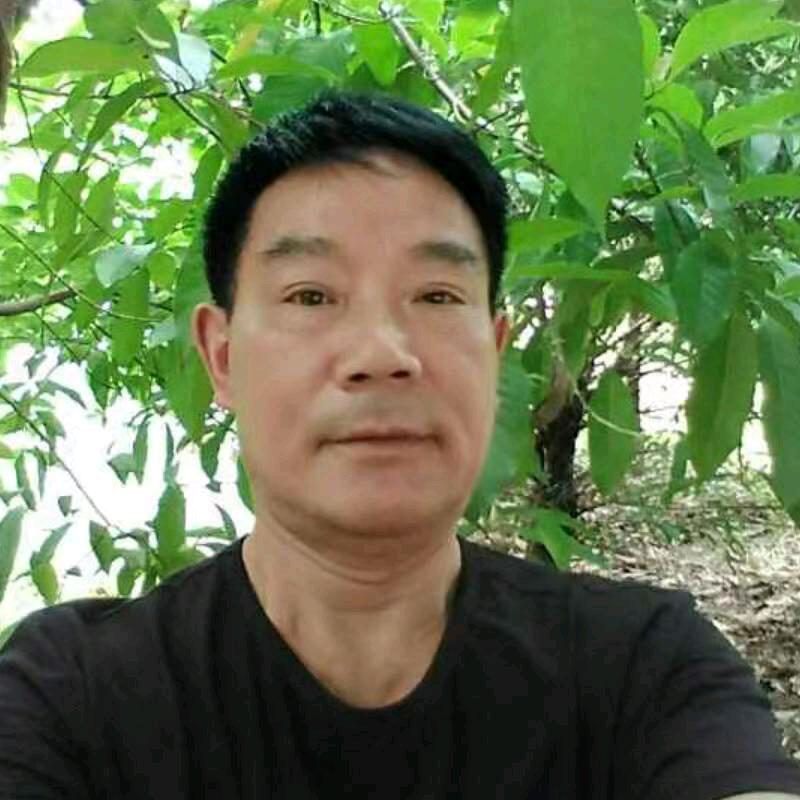 老张闲不住