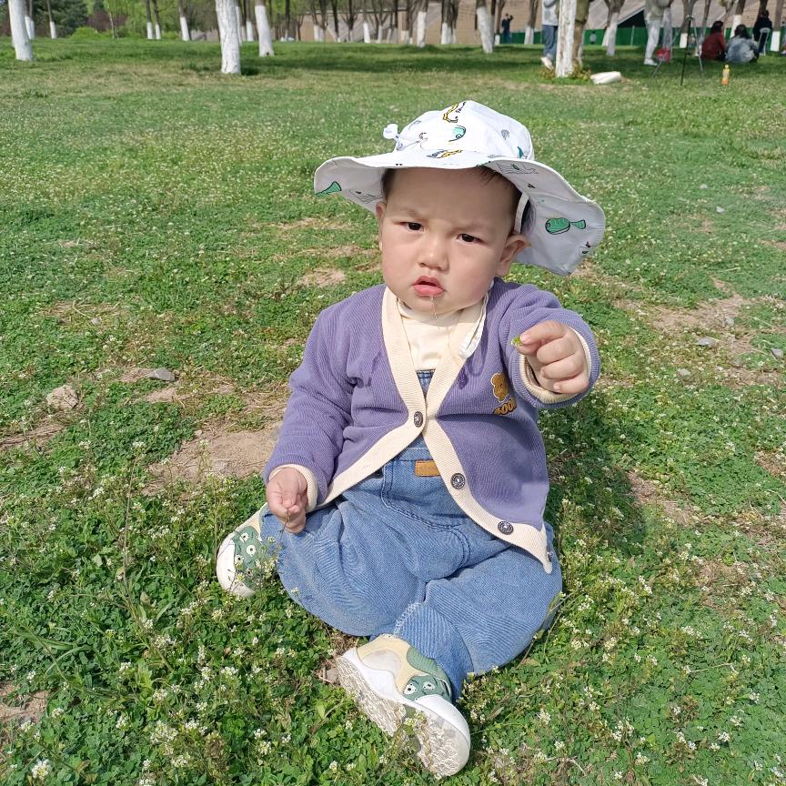 兰兰阙歌好剧分亨