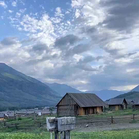 石家庄汽车过户代办