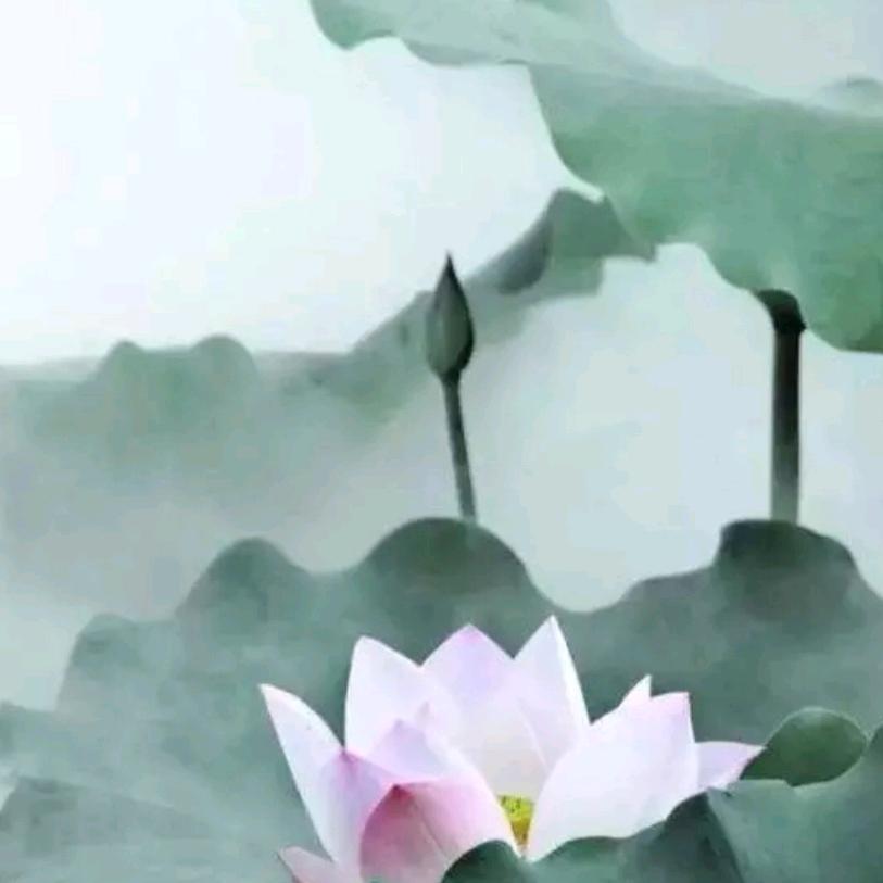 小清