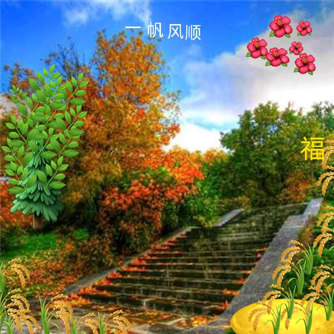 昆仑藏晓月413