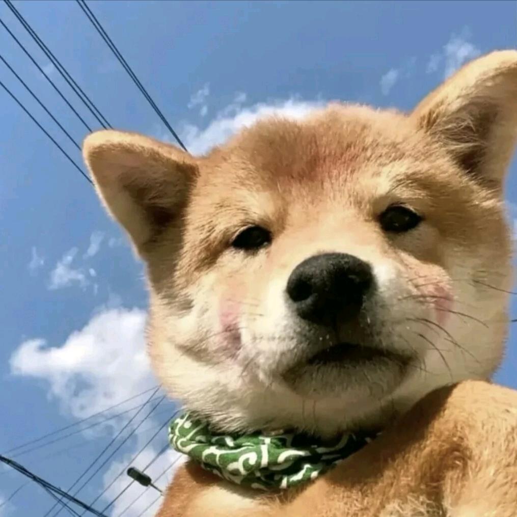 阳千萬.