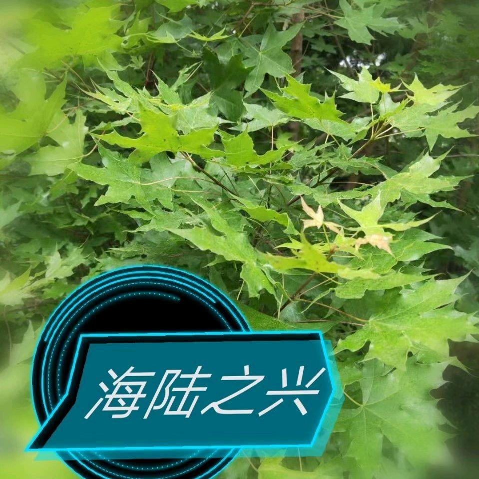 海陆机械制造