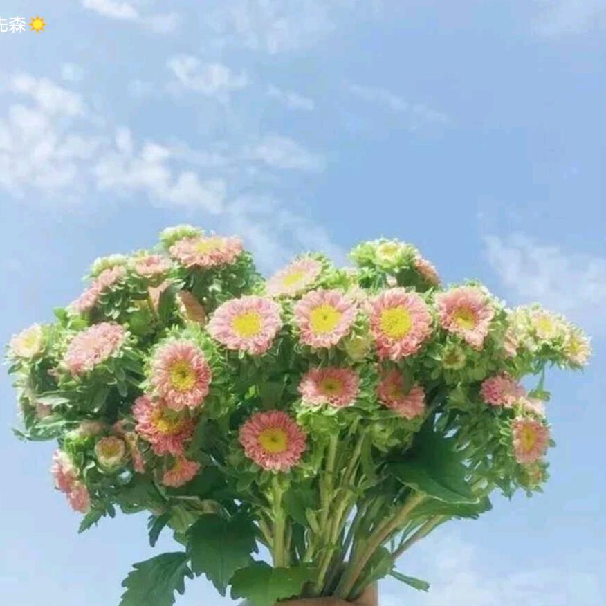 花