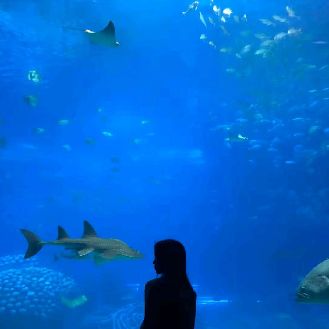 秀莲好物推荐分享⁵