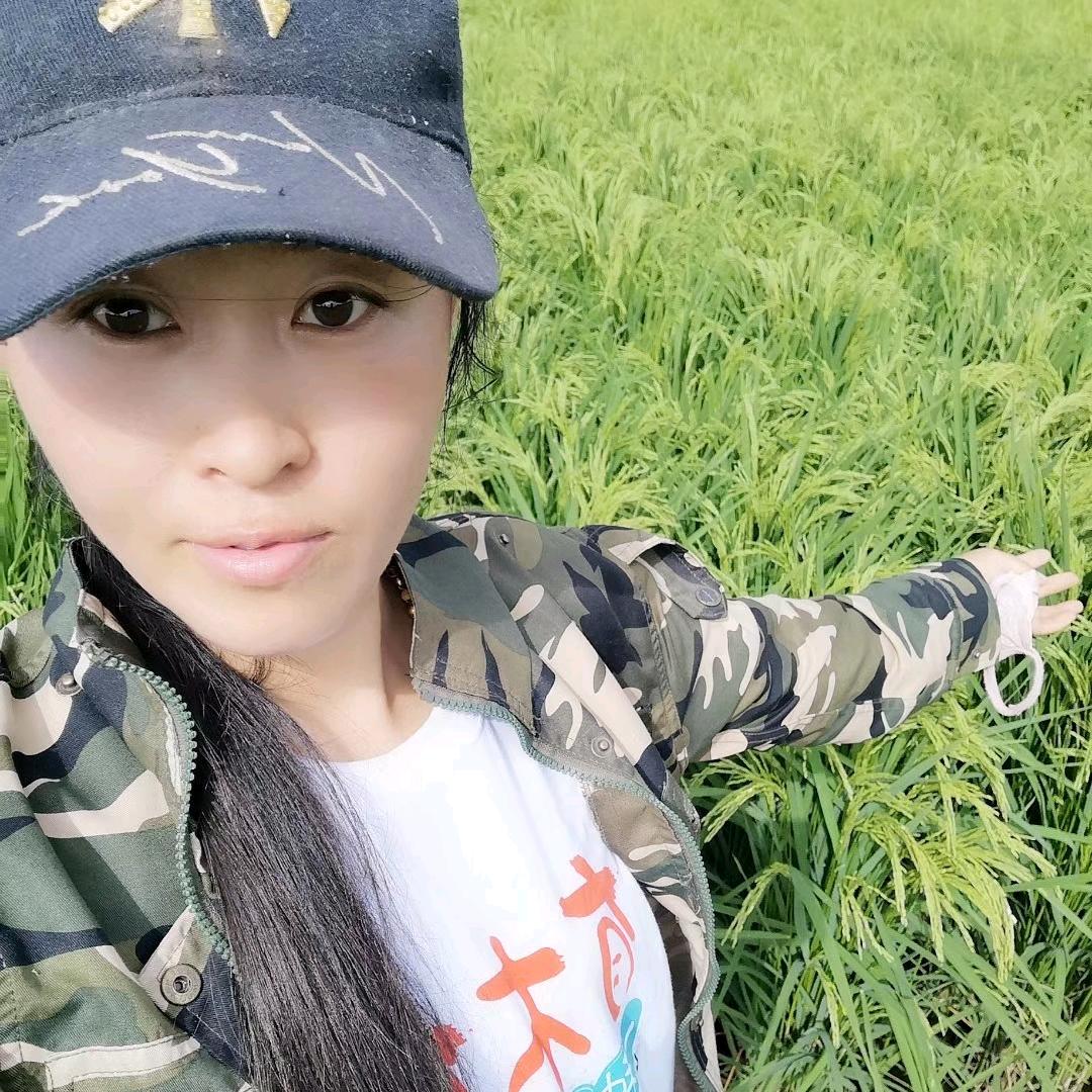 张晓娜五常大米