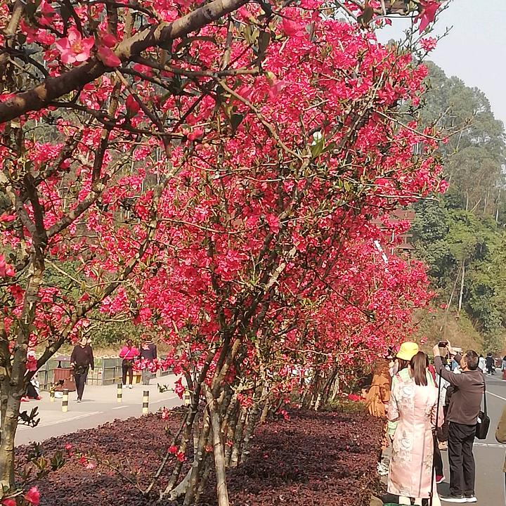 暖阳、天天