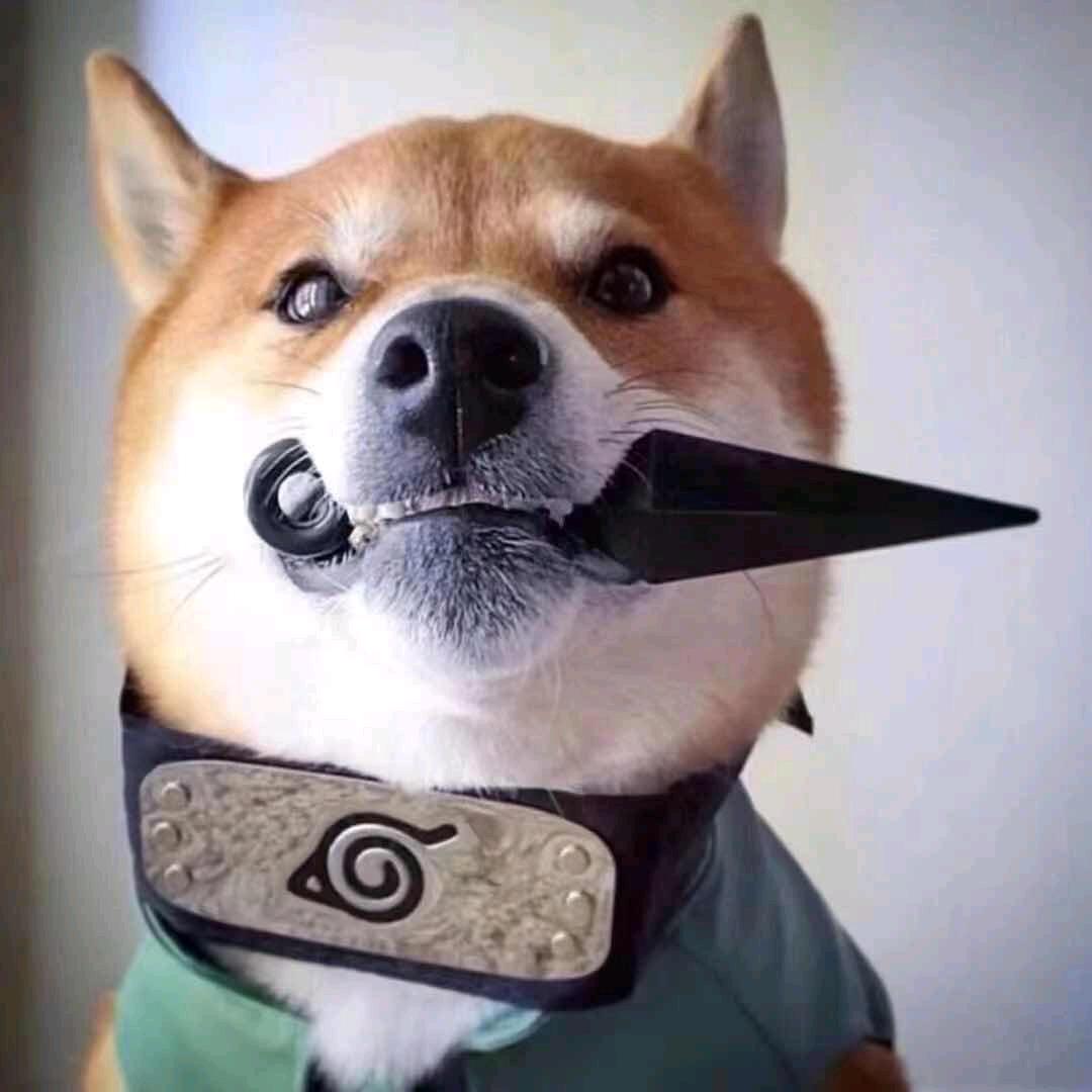 阿磊-