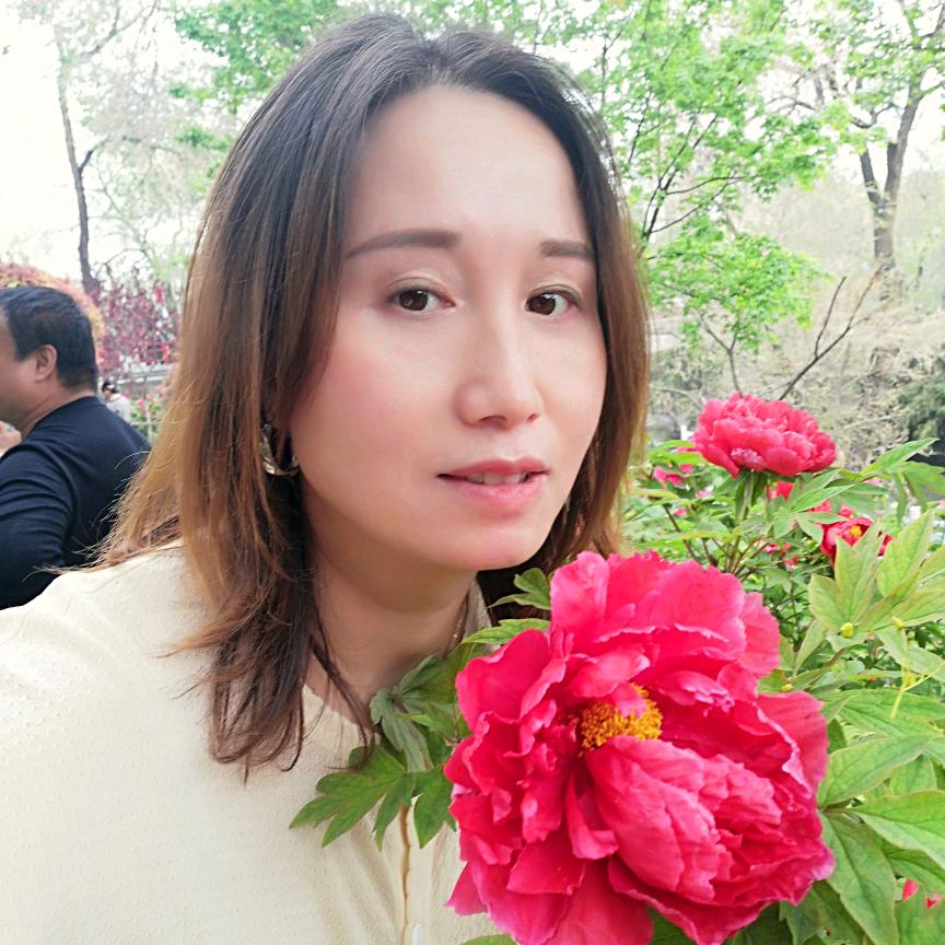 艳南飞