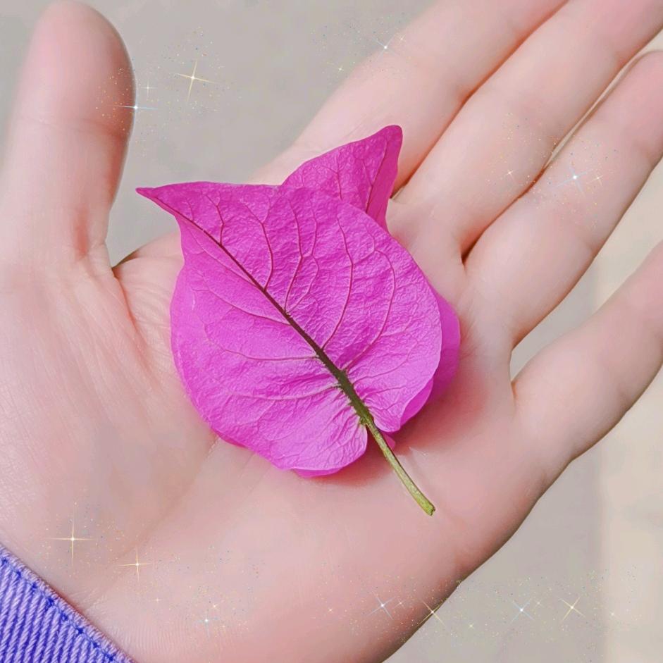糖果味儿