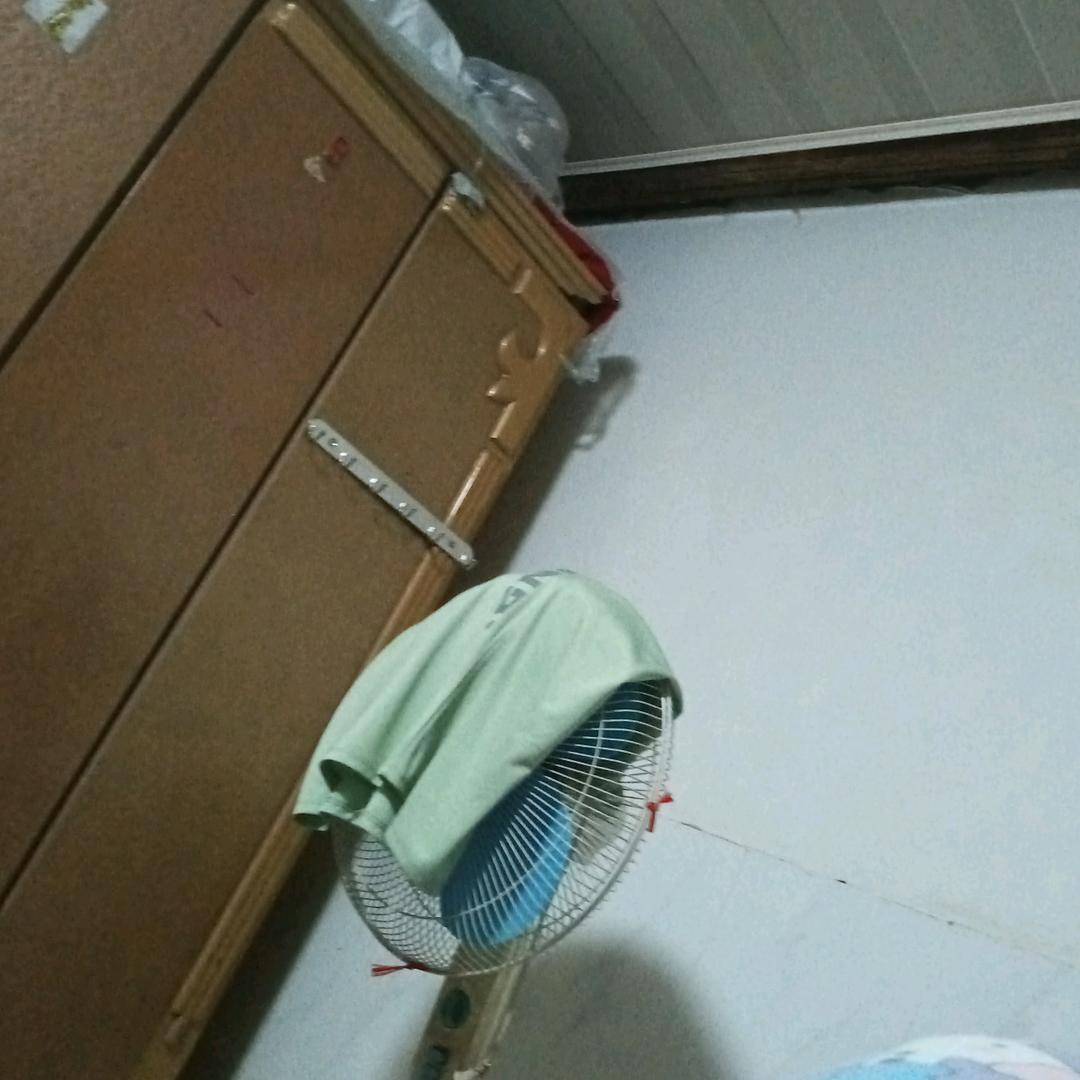 黎军