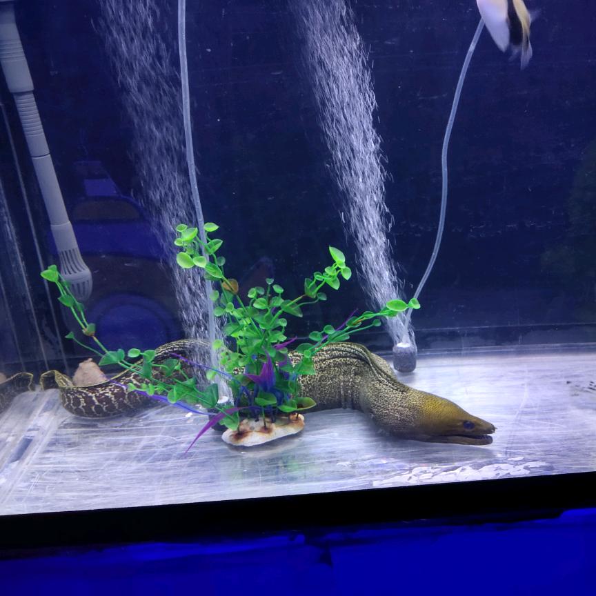 永恒
