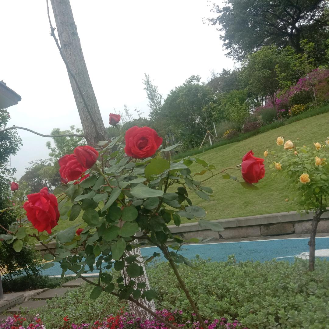 怎么开心就怎么活  怎么快乐就怎么过