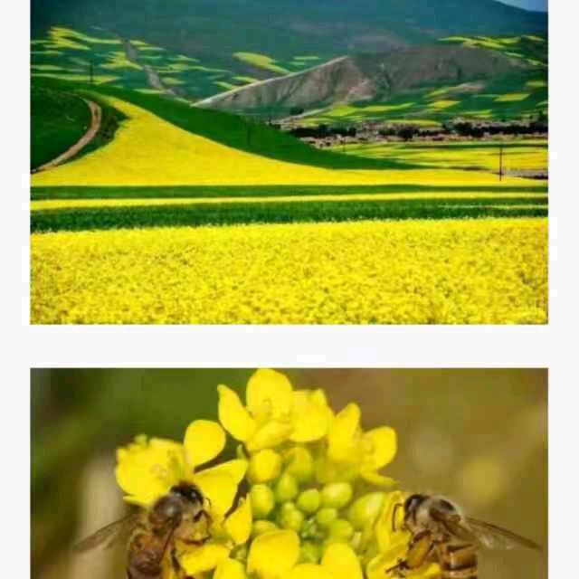 杨茂华