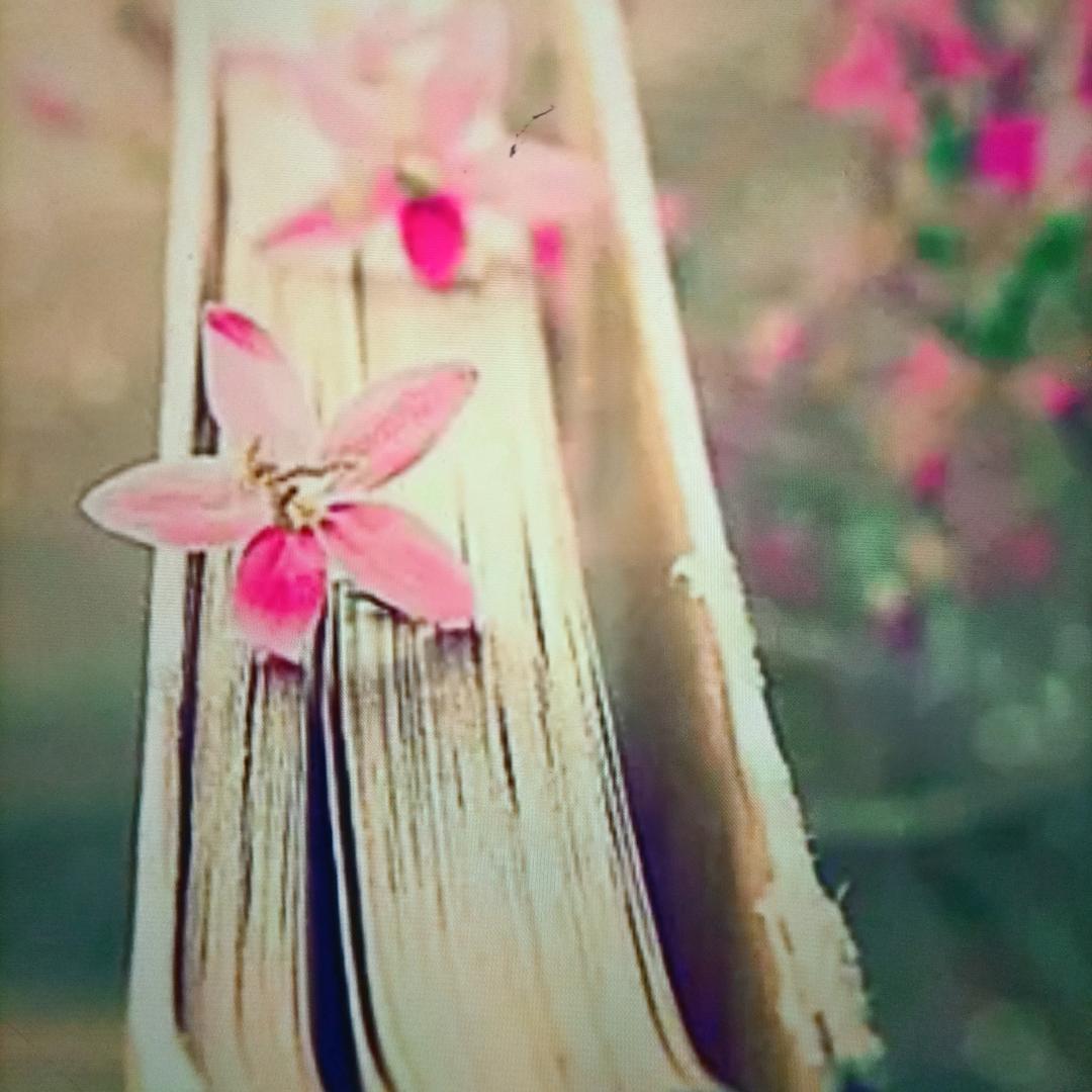 一名正在成长的培训师🤗