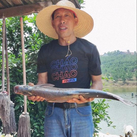 黄家湾垂钓官方号