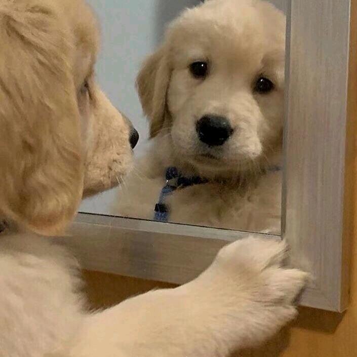 影少