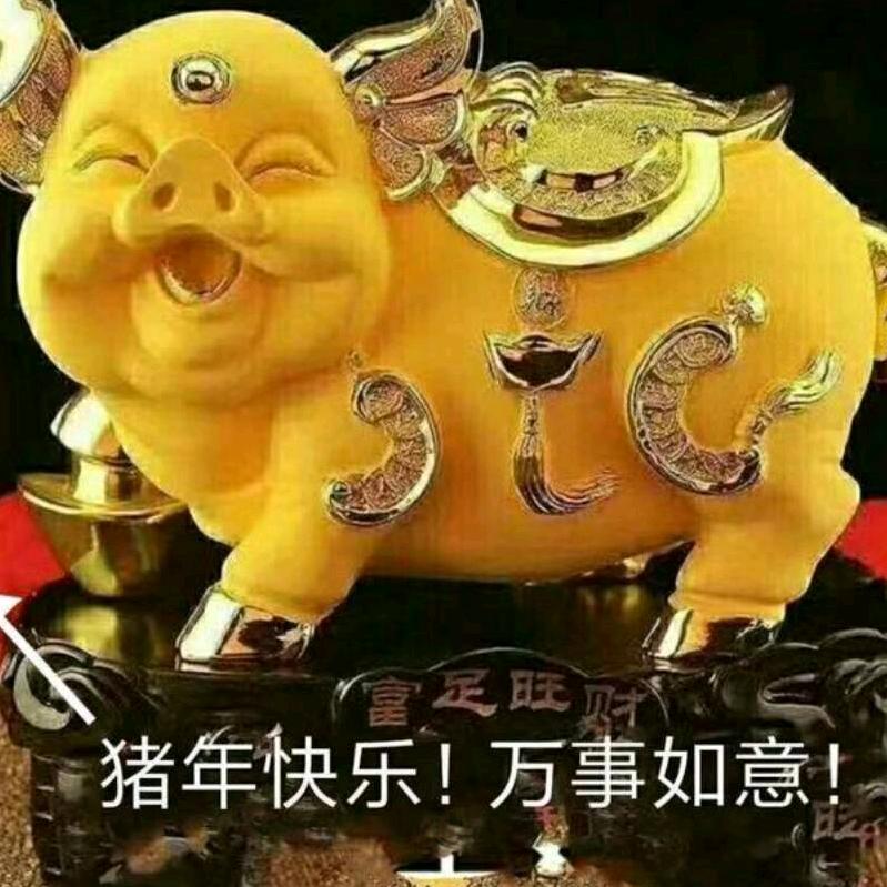 。开心每一天
