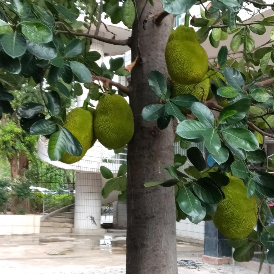 蒲自祥重庆云阳