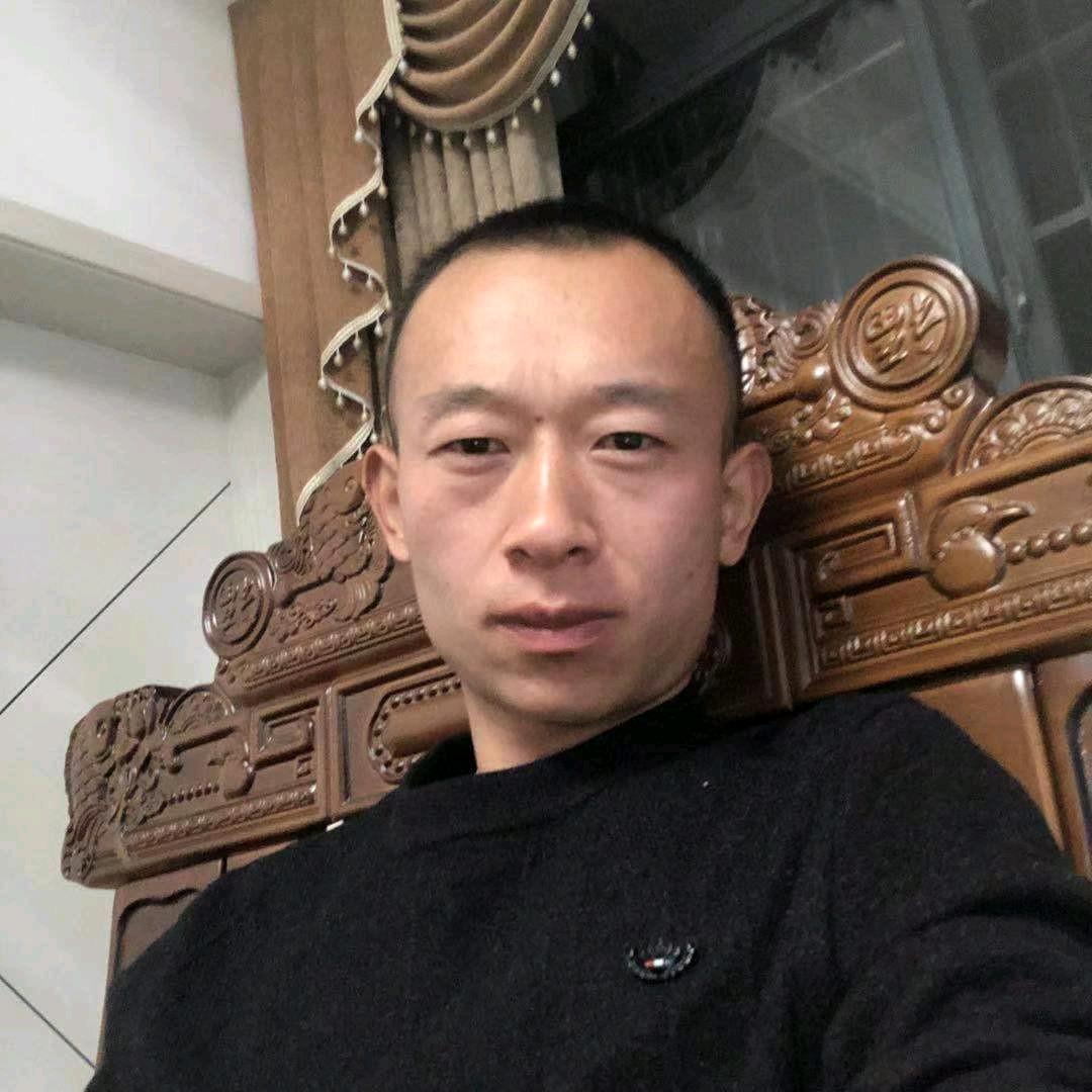 强仔萌宠