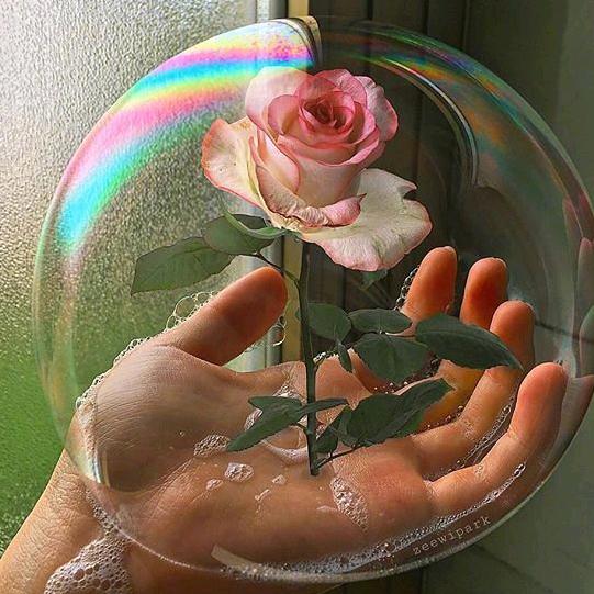 🐸🐸🐸孤寡～🍊～蛙蛙🐸🐸🐸