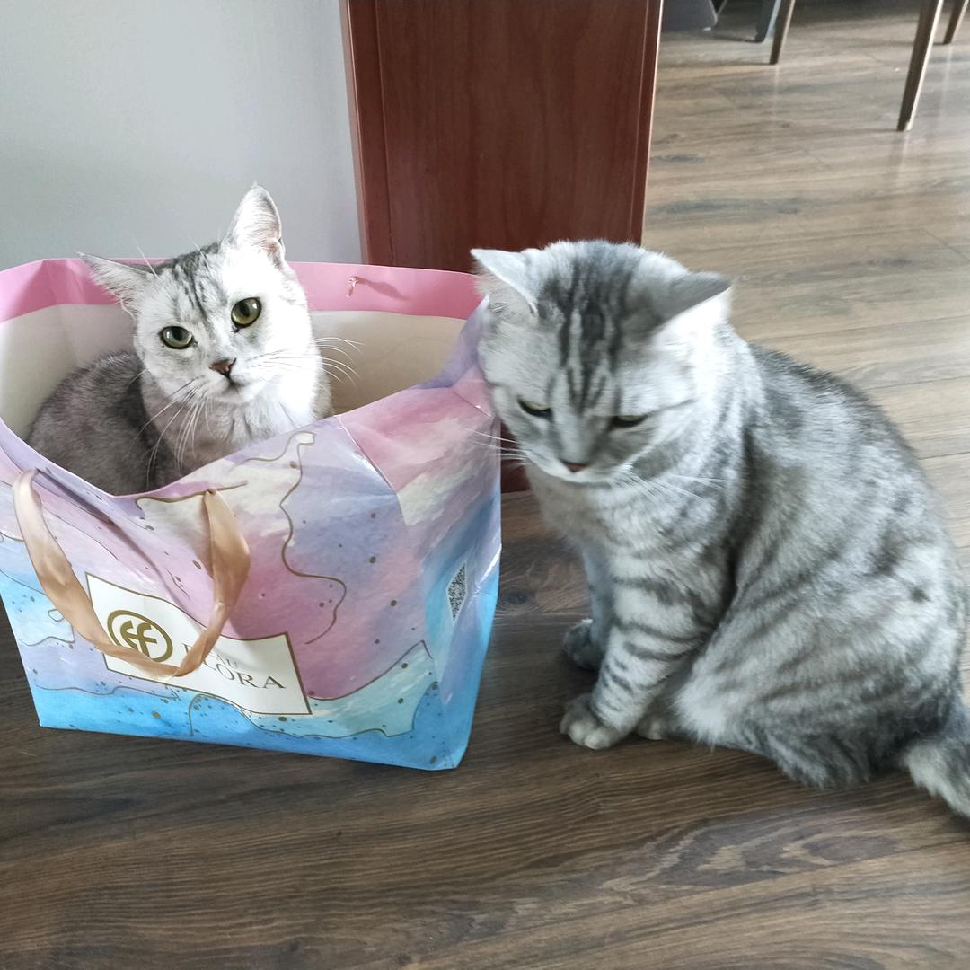 胖胖瘦瘦的妈妈