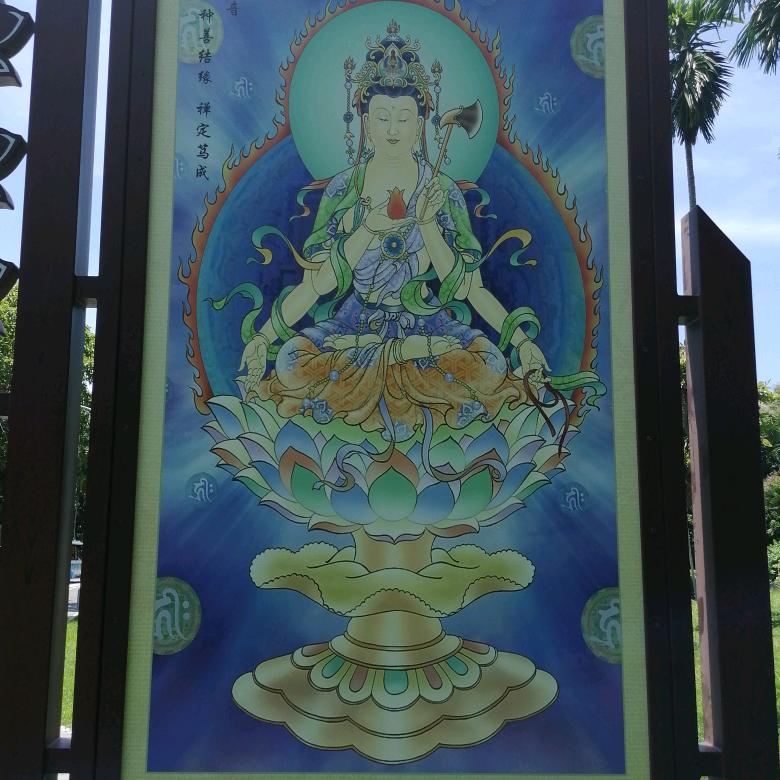 勿忘我，拒绝私聊，合拍