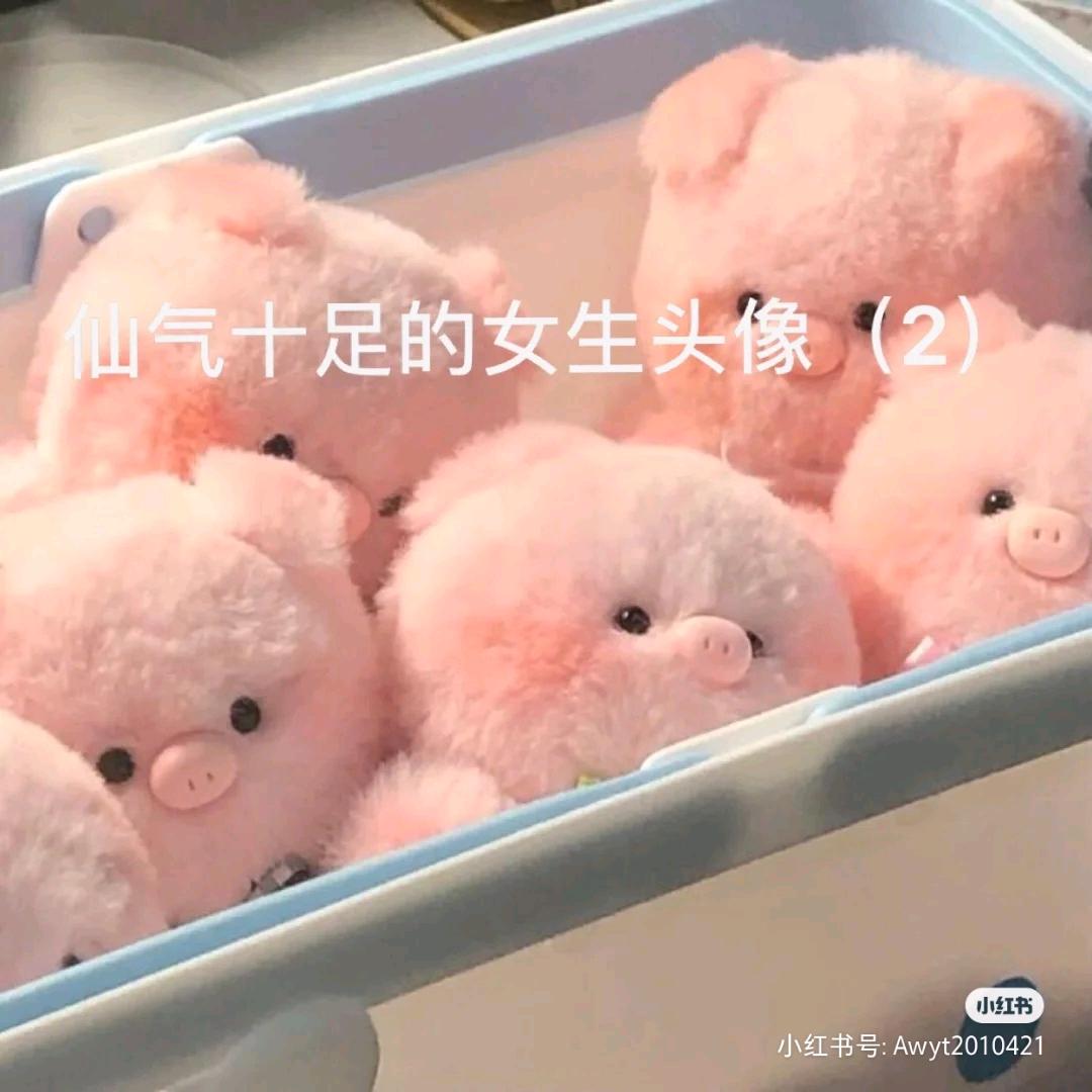 嘉🍧🍰🍬🍥🍓🍚🍦☕