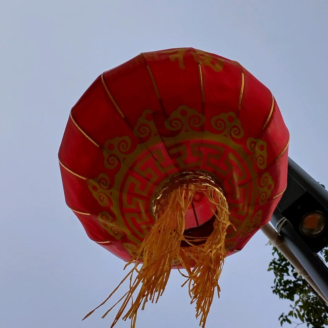 执一盏孤灯