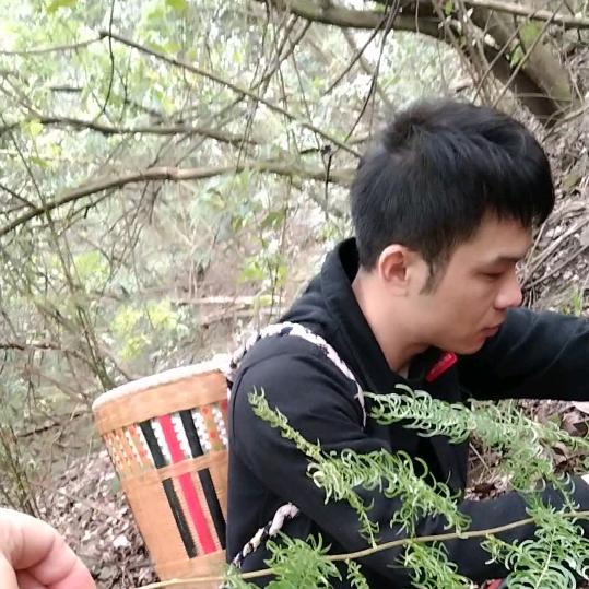 深山百草