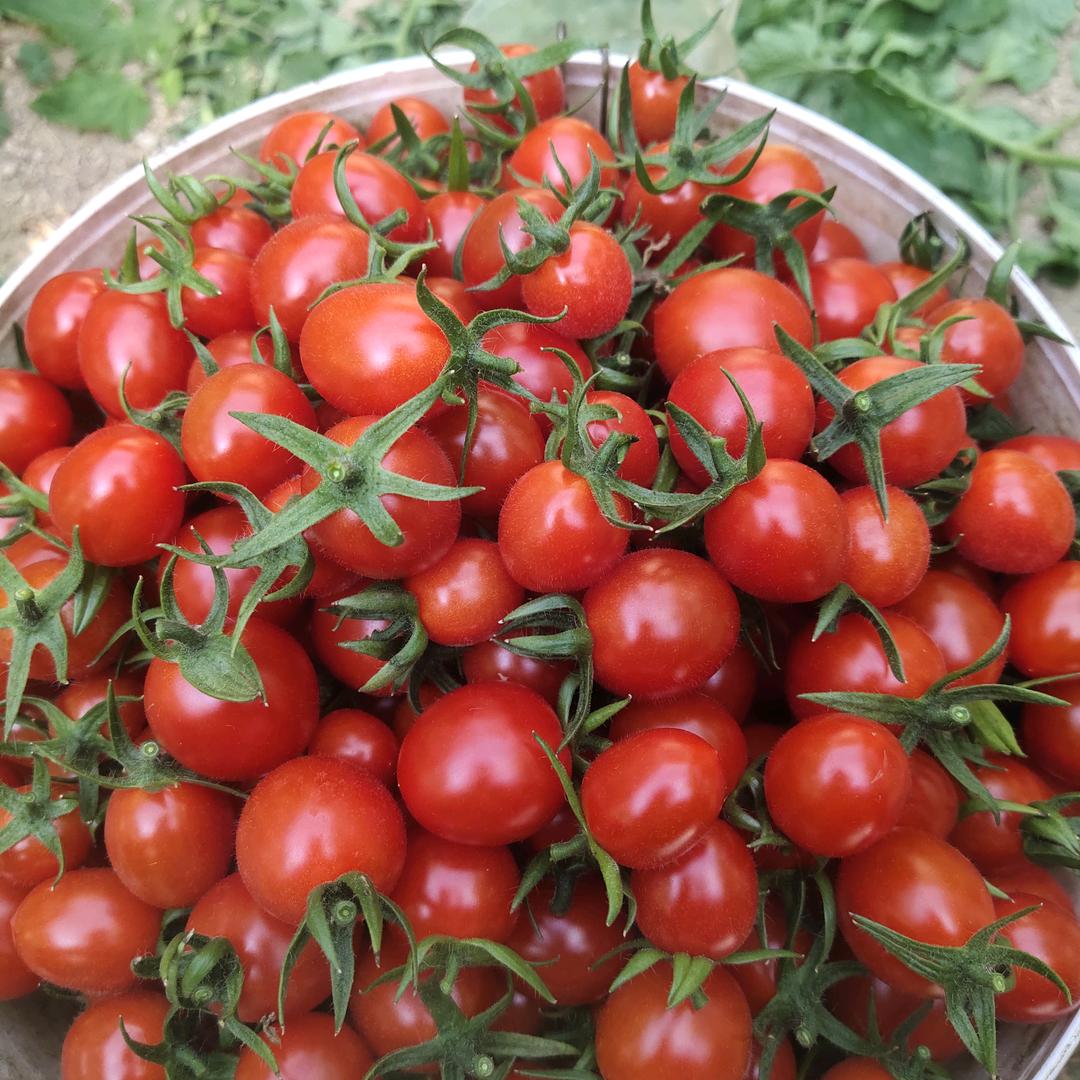 ♥(小李小李)♥