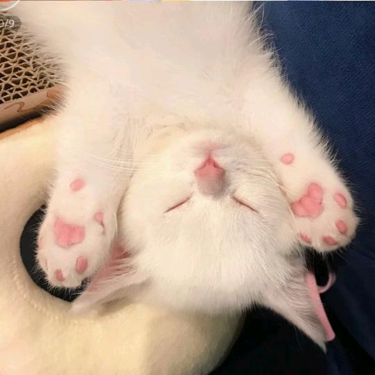 晚风吹向海