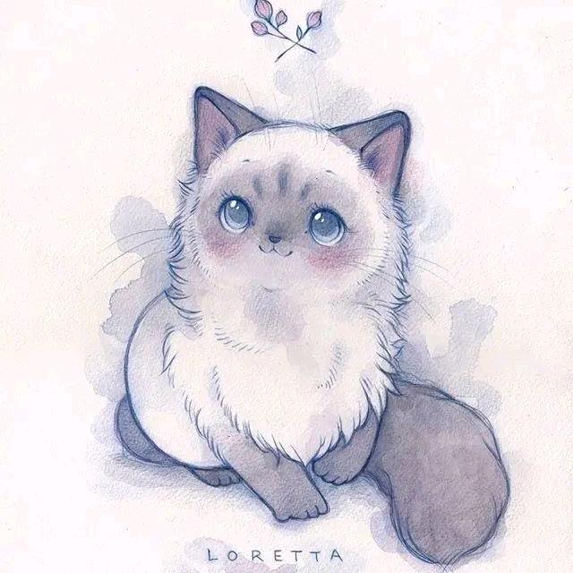 胖