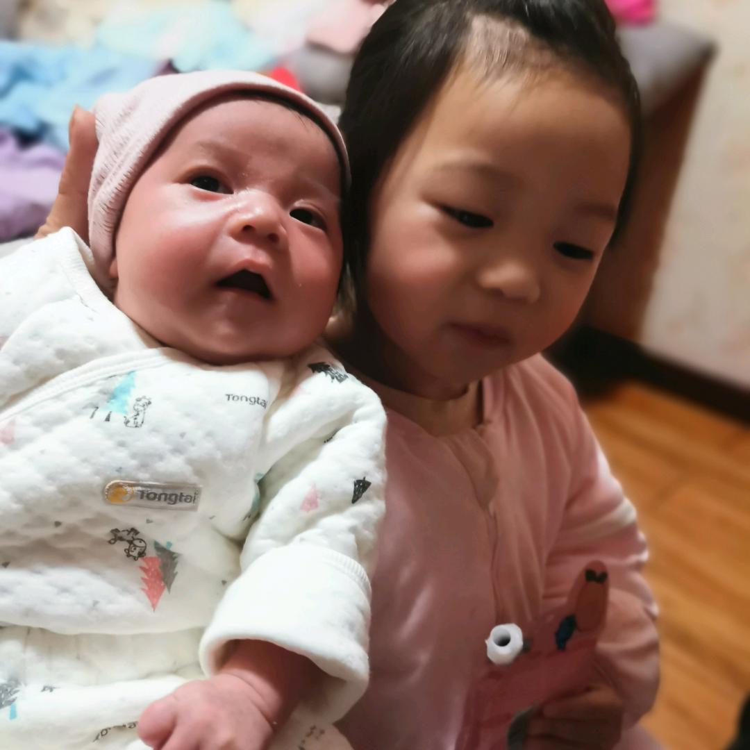 西伯利亚狼