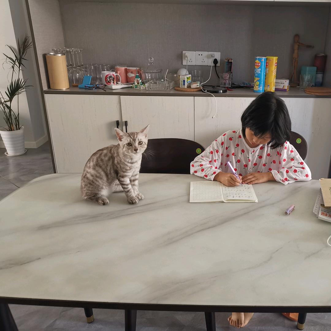 日立中央空调-陈德