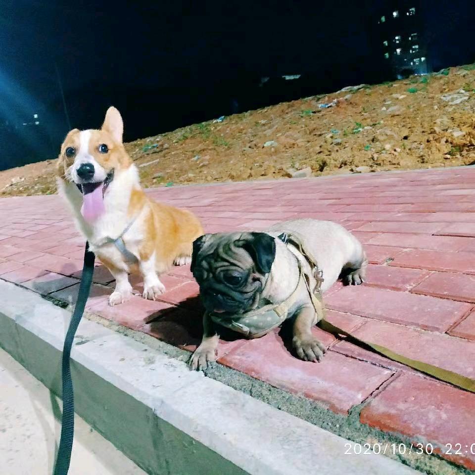 万事胜意🎉🎉🎉