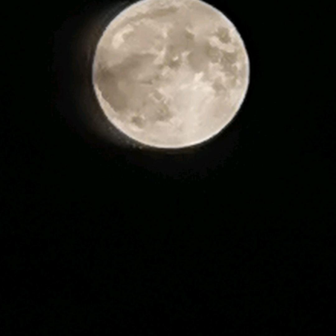 山东鲜之源商贸有限公司