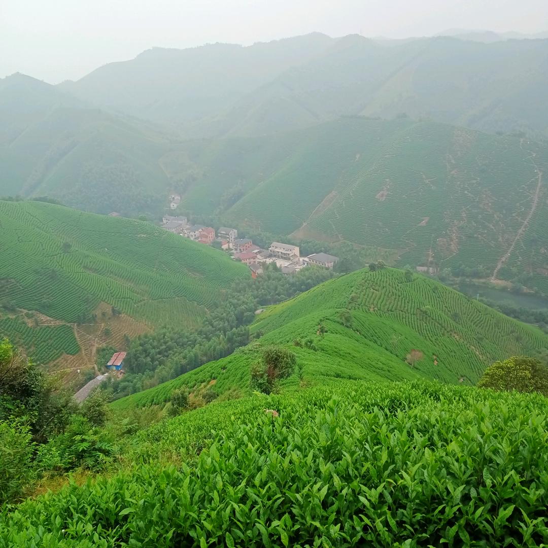 青山绿水