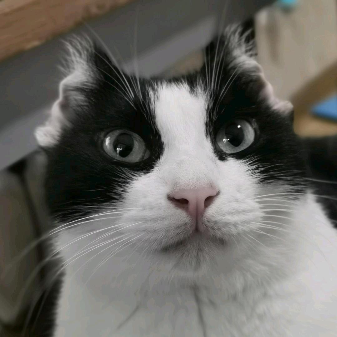 老李说地主