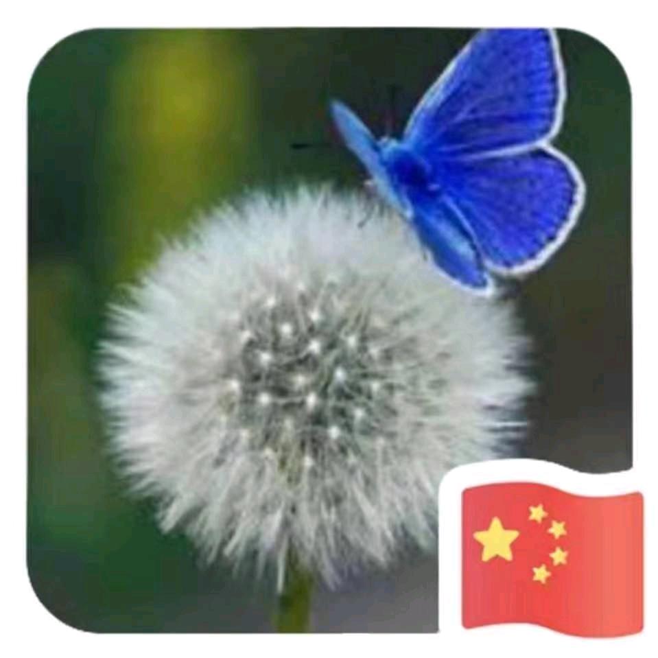 开心快乐