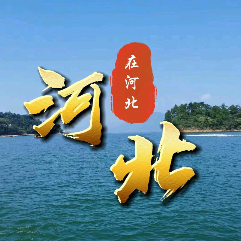 我们在河北
