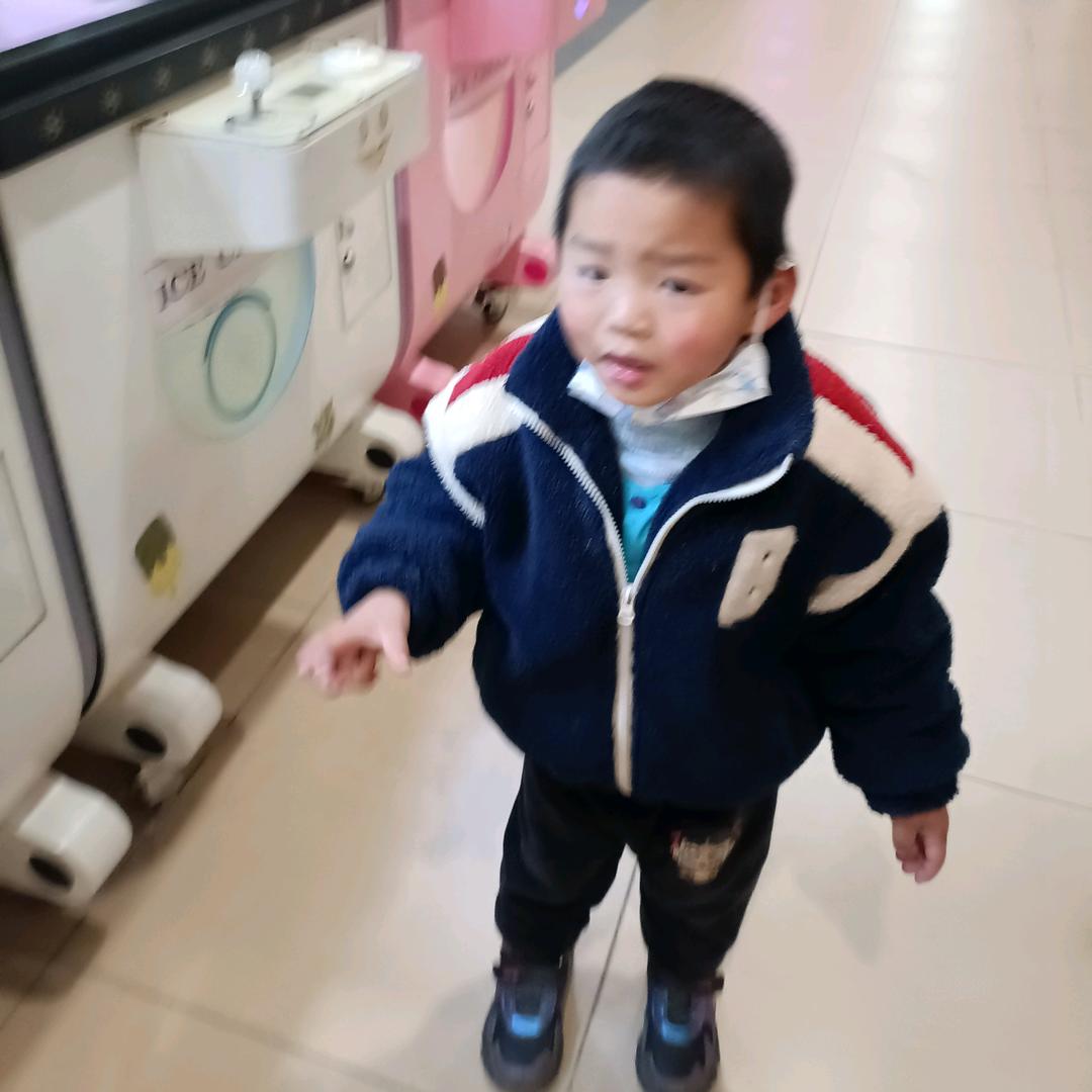 哲哲