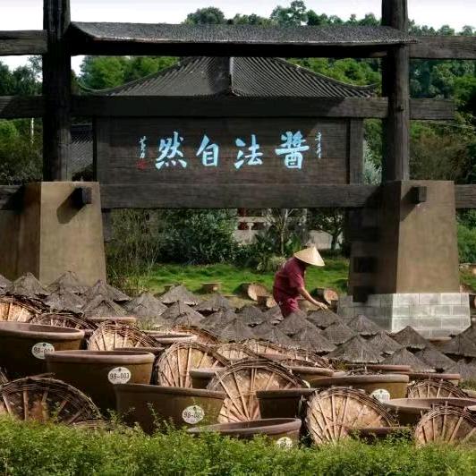 酱油妹儿