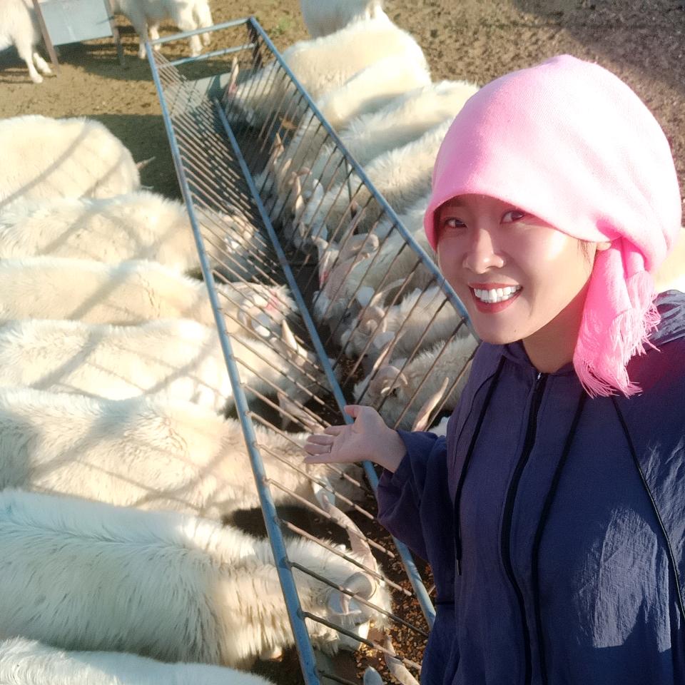 放羊媳妇儿