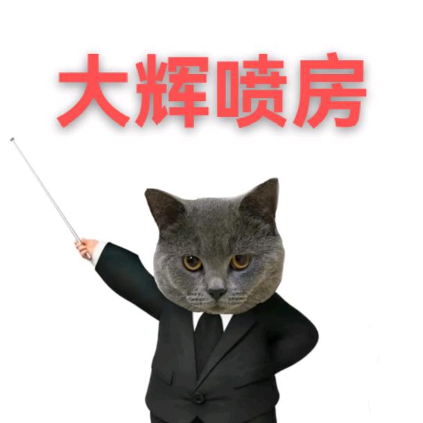 开封大辉喷房
