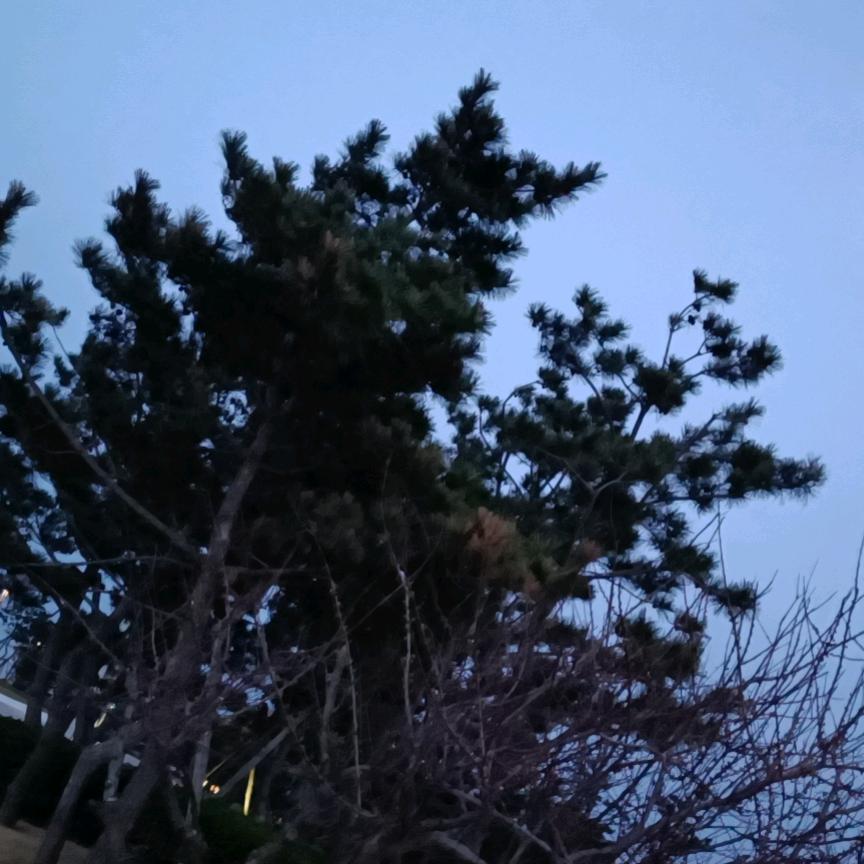 老边饺子(长江路店)官方号