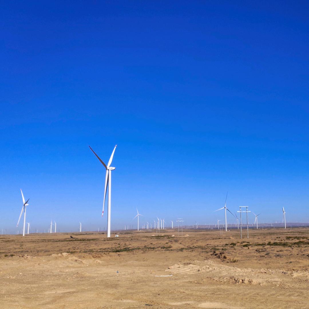 素质教育挖掘机