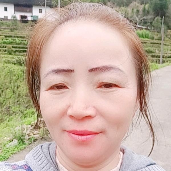 含羞草