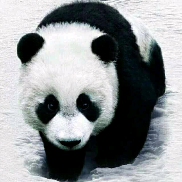 开心😄就好